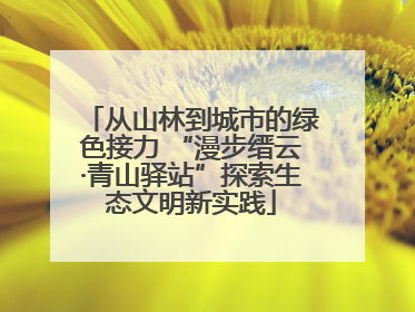 从山林到城市的绿色接力 “漫步缙云·青山驿站”探索生态文明新实践