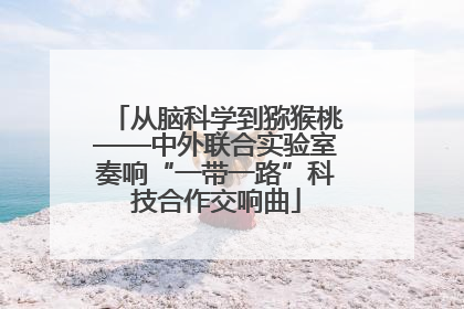 从脑科学到猕猴桃——中外联合实验室奏响“一带一路”科技合作交响曲