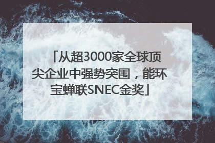 从超3000家全球顶尖企业中强势突围，能环宝蝉联SNEC金奖