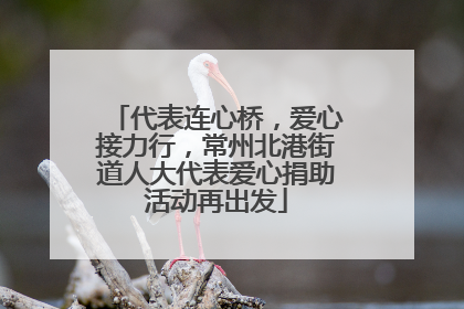 代表连心桥，爱心接力行，常州北港街道人大代表爱心捐助活动再出发