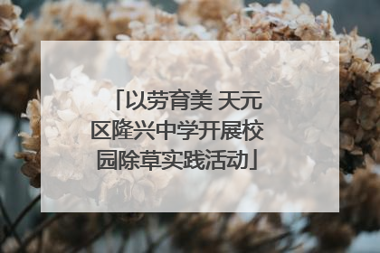 以劳育美 天元区隆兴中学开展校园除草实践活动