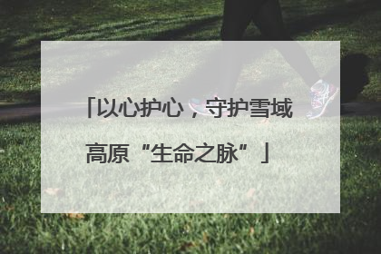 以心护心，守护雪域高原“生命之脉”