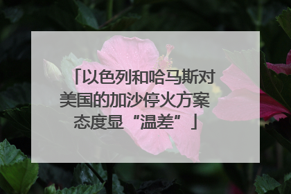 以色列和哈马斯对美国的加沙停火方案态度显“温差”