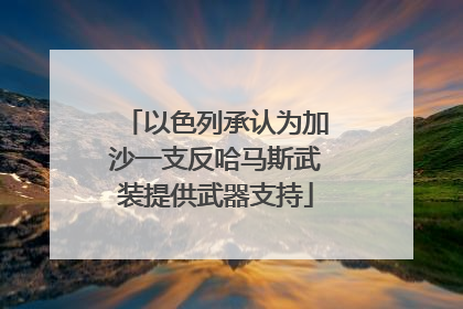 以色列承认为加沙一支反哈马斯武装提供武器支持