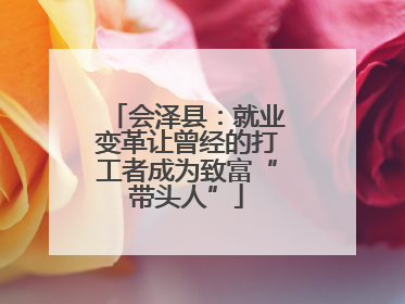 会泽县：就业变革让曾经的打工者成为致富“带头人”
