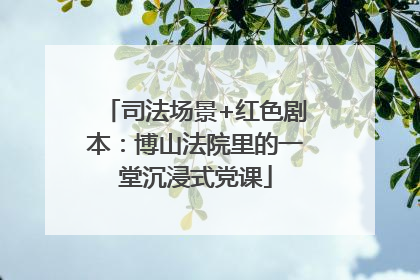 司法场景+红色剧本：博山法院里的一堂沉浸式党课