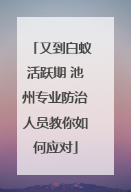 又到白蚁活跃期 池州专业防治人员教你如何应对