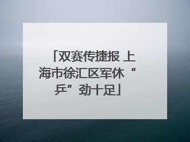 双赛传捷报 上海市徐汇区军休“乒”劲十足