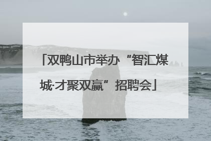 双鸭山市举办“智汇煤城·才聚双赢”招聘会