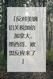 反对美钢铝关税加倍 加拿大、墨西哥、欧盟反应来了