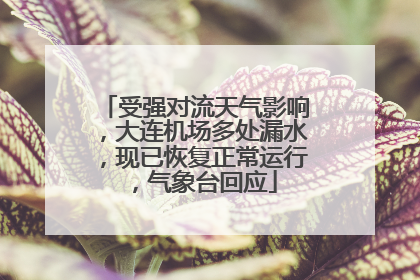 受强对流天气影响，大连机场多处漏水，现已恢复正常运行，气象台回应