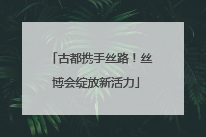 古都携手丝路！丝博会绽放新活力