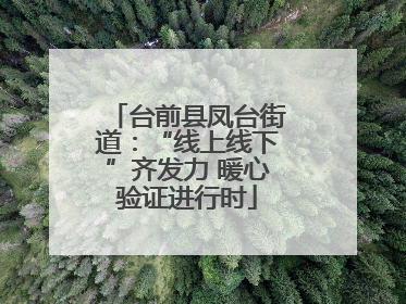 台前县凤台街道：“线上线下”齐发力 暖心验证进行时