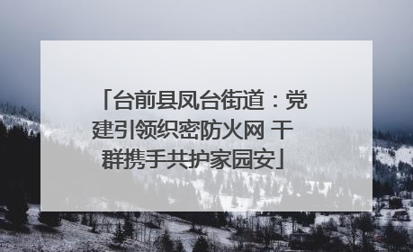 台前县凤台街道：党建引领织密防火网 干群携手共护家园安