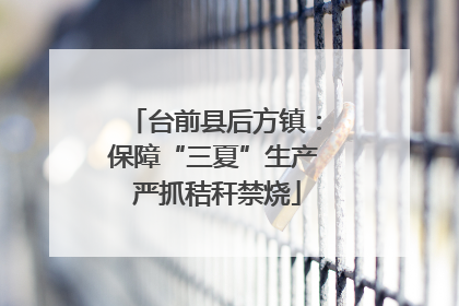台前县后方镇：保障“三夏”生产 严抓秸秆禁烧