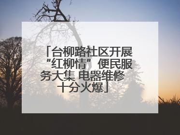 台柳路社区开展“红柳情”便民服务大集 电器维修十分火爆