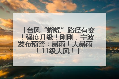 台风“蝴蝶”路径有变！强度升级！刚刚，宁波发布预警：暴雨！大暴雨！11级大风！