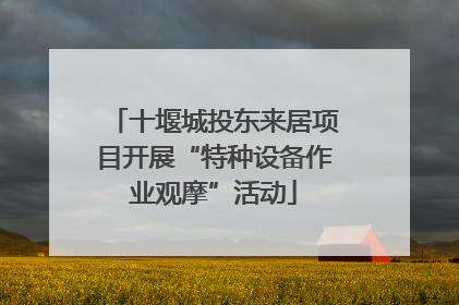 十堰城投东来居项目开展“特种设备作业观摩”活动