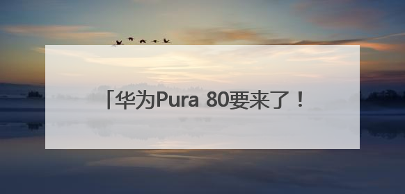 华为Pura 80要来了！起售价格预计超过5000元