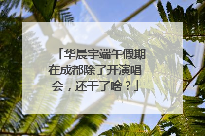 华晨宇端午假期在成都除了开演唱会，还干了啥？