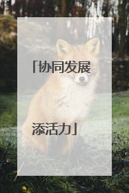 协同发展添活力