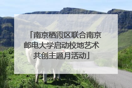 南京栖霞区联合南京邮电大学启动校地艺术共创主题月活动