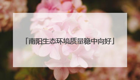 南阳生态环境质量稳中向好