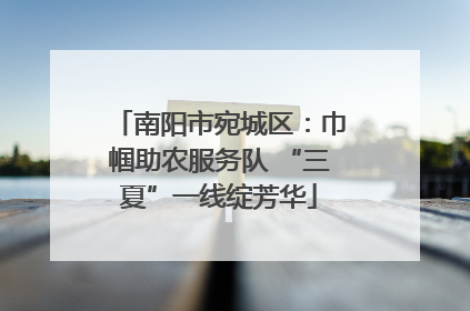 南阳市宛城区：巾帼助农服务队 “三夏”一线绽芳华