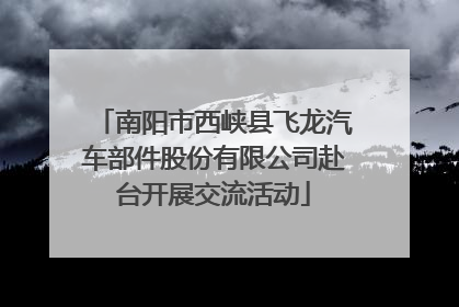 南阳市西峡县飞龙汽车部件股份有限公司赴台开展交流活动