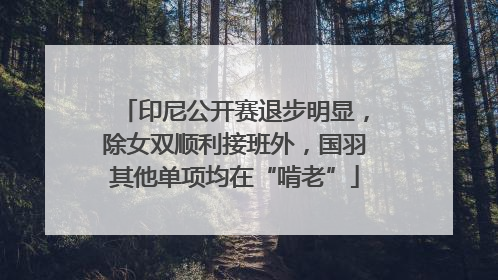 印尼公开赛退步明显，除女双顺利接班外，国羽其他单项均在“啃老”