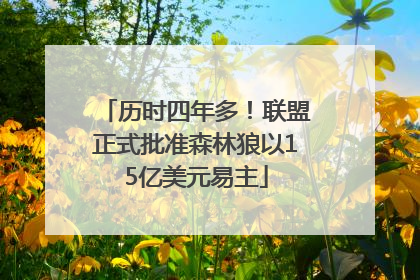 历时四年多！联盟正式批准森林狼以15亿美元易主