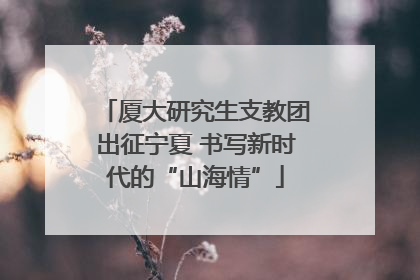 厦大研究生支教团出征宁夏 书写新时代的“山海情”