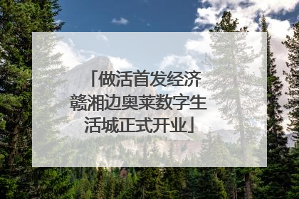 做活首发经济 赣湘边奥莱数字生活城正式开业