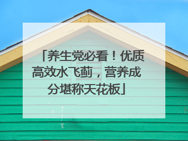 养生党必看！优质高效水飞蓟，营养成分堪称天花板