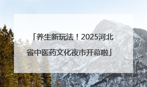 养生新玩法！2025河北省中医药文化夜市开幕啦