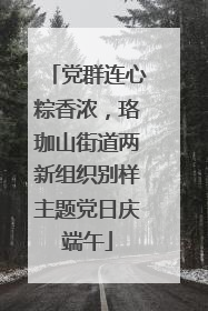 党群连心粽香浓，珞珈山街道两新组织别样主题党日庆端午