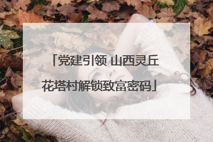 党建引领 山西灵丘花塔村解锁致富密码