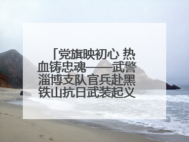 党旗映初心 热血铸忠魂——武警淄博支队官兵赴黑铁山抗日武装起义纪念馆开展“七一”主题党日活动