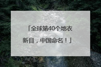 全球第40个地衣新目，中国命名！
