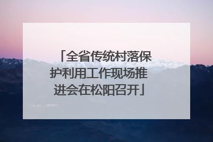 全省传统村落保护利用工作现场推进会在松阳召开