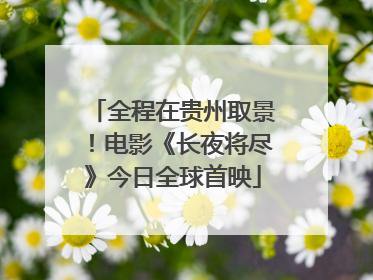 全程在贵州取景！电影《长夜将尽》今日全球首映