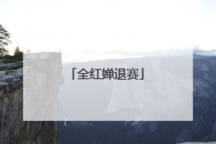 全红婵退赛