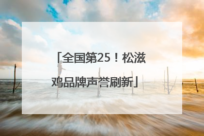 全国第25！松滋鸡品牌声誉刷新