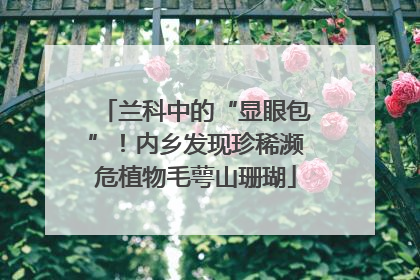 兰科中的“显眼包”！内乡发现珍稀濒危植物毛萼山珊瑚