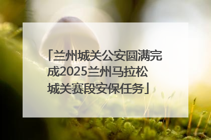 兰州城关公安圆满完成2025兰州马拉松城关赛段安保任务