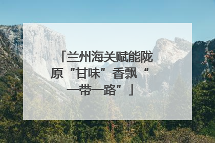 兰州海关赋能陇原“甘味”香飘“一带一路”