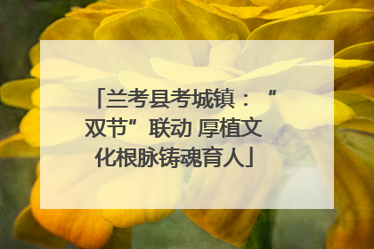 兰考县考城镇：“双节”联动 厚植文化根脉铸魂育人