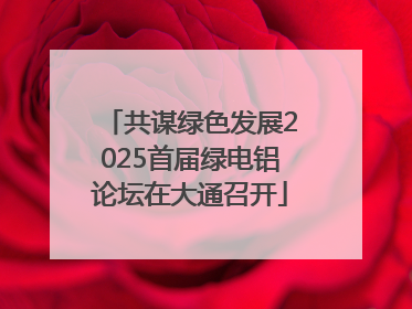 共谋绿色发展2025首届绿电铝论坛在大通召开