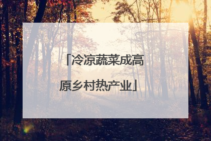 冷凉蔬菜成高原乡村热产业