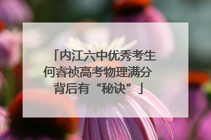 内江六中优秀考生何睿祯高考物理满分背后有“秘诀”